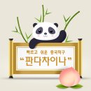 판다차이나