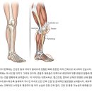 공덕 재활센터, 다앤유 재활운동센터 상담 후기!(마포, 공덕 재활운동센터, 찐찐내돈내산후기!, 수업료...