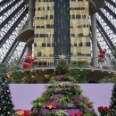 태성목장2 이미지