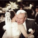 데이그래피 이미지