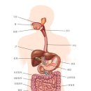 30줄부터 급격하게 맛탱이 가는 기관.jpg 이미지