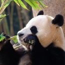 (주)보승 이미지
