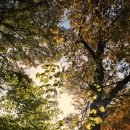 영화마을 염창동아점 | (둘레길 후기 - 60) 지리산 뱀사골에 가다