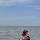 조국의 미래 청년의 | 경기도청년봉사단 국토대장정 볼런투어 3일차 | 제부도 바다 플로깅