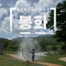 봉화약수 | 봉화 | 국립백두대간수목원 호랑이 트램 후기 + 약수식당 닭불고기까지 완벽 코스