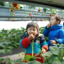 새미래농장 이미지