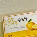 모드락농원 - 17472 | 현지인 추천 제주에서 택배로 주문한 황금향 후기(모드락농원)