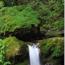 계곡풍경 이미지