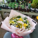 꽃집아재비 이미지