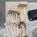 월남쌈샤브향 | 아이랑 함께하기 좋은 울산 샤브샤브 맛집 샤브향