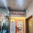 피아노치는고양이학원 이미지