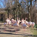 도투리식당 | [브로츠와프 기행] 이 동물원만큼은 볼 가치가 있었다!