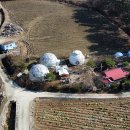 용구니아지트 이미지