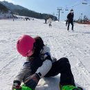 웰리힐리파크스키강습아카데미