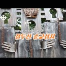 당고개곡물 | 프란치스코 교황방한과 절두산순교성지