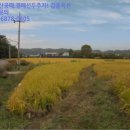 이반성면-1 이미지