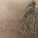 오이코스 이미지