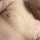 2022-주183 이미지