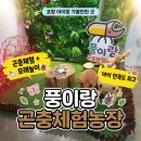 돈필농장 | 포항 아이랑 가볼만한곳 내돈내산 풍이랑곤충체험농장, 가이드체험 무조건 추천