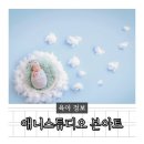 주아트 스튜디오 | 인천 애니스튜디오 연수점 본아트 후기 촬영 시기 준비물