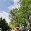 천변3호 이미지