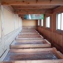 먼나머루 이미지