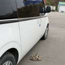 태안 학암포 펜션 캠핑장 걱정없이 낚시 즐기고 오다