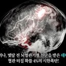 큐디어스 이미지