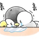 그라시아플라워