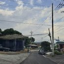 네스트케미칼 이미지