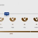 더블유빈