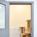 함께냥 평택점 이미지