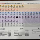 미미가스시