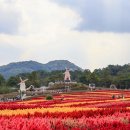 파랑새 | 철원 한탄강 주상절리길·소이산전망대·비둘기낭폭포까지! 파랑새투어 후기