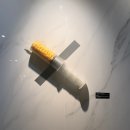 논현스타약국 | 시술 직후 쓰는 따끈따끈 러브핸들(옆구리) 무한람스 후기