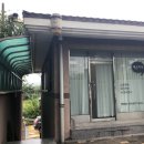 예손피부 이미지