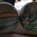 천고농장 이미지