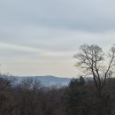 (주)건축사사무소 하늘 | 시련을 견디고 깨어나는 봄 - 호기심건축사