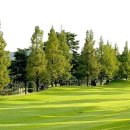 렉스필드 컨트리클럽 이미지