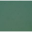 엘동물병원 이미지