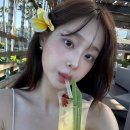 헤어츄 네이버블로그