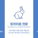 인덕원동물의료센터 이미지