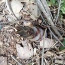 장전서당골 영농조합법인 이미지