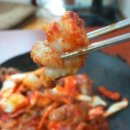뉴스서천