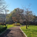 건천공원 이미지