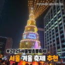 초롱스토리 | 서울 12월 1월 겨울 축제 2025년 서울빛초롱축제 솔직후기