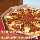콘리코타피자 내돈내산 리뷰 ㅣ 계속 생각나는 중독적인 맛! ㅣ 용인 프레드피자 위치, 가격, 솔직 맛 후기