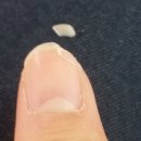 시민생활체육관 볼링장 이미지