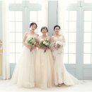 로얄패밀리스튜디오 이미지