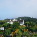 들꽃피는 아침풍경 이미지